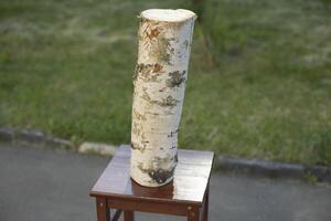 Birch log. Log for felling. Firewood. photo