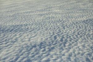 The texture of the snow. Snowy field. Thawed surfaces. photo