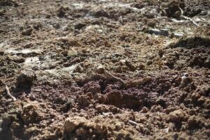 Excavated soil. Broken land. Texture of mud. Clay and soil. photo