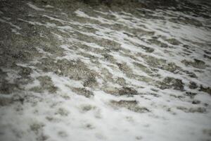Texture of dirty snow. Side of road in winter. Gray and white. photo