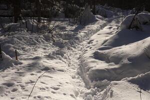 Footpath in the snow. Snowy path in the forest. Winter day in the wilderness. photo