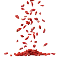 Falling Dried Goji Berry isolate on transparency background png