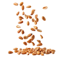 Falling Pine Nuts isolate on transparency background png
