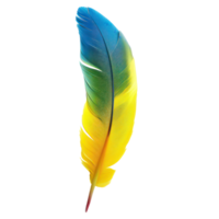 floated macaw parrot feather isolate on transparency background png