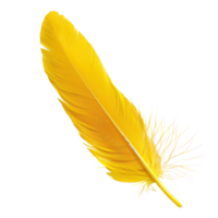 floated yellow feather isolate on transparency background png