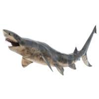 Basking shark side view full body isolate on transparency background png