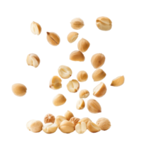 Falling Macadamia Nuts isolate on transparency background png