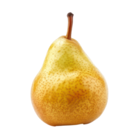 Pear front view full length isolate on transparency background png