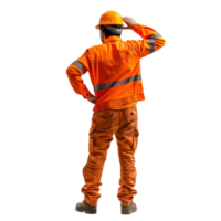 Back view of construction worker looking at something, standing isolate on transparency background png