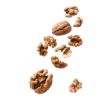 Falling walnuts isolate on transparency background png