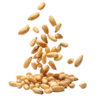Falling Pine Nuts isolate on transparency background png