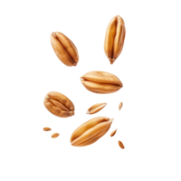 floating peeled ripe wheat seed isolate on transparency background png