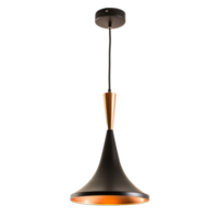 modern hanging light side view full length isolate on transparency background png
