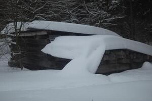 Deep snow in the forest. Snowdrift in nature. Forest in winter. photo