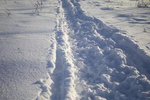 Road in the snow. Path through snowdrifts. Snowy field. photo