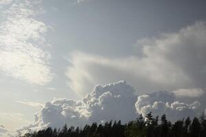 Majestic sky over forest. Lots of clouds in sky. Cumulus clouds and forest. photo