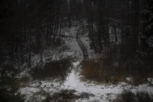 Mystical path in the forest. Devil's Mountain in winter. A big climb up the mountain. photo