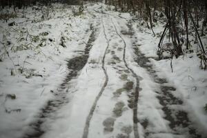 Path in the snow. Path in the forest in winter. Melted snow in the countryside. photo