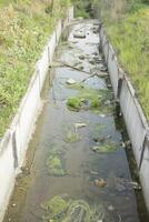 Draining water. Concrete Sewage Channel. Shallow Stream. photo