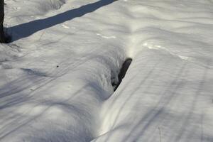 Snow-covered field. Thawed patches in the snow. Lots of snow on a sunny day. photo