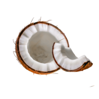 Coconut half with slice and piece png