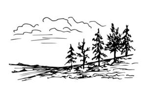 Hand-drawn ink illustration in the engraving style. A simple landscape of coniferous trees on a hill, grass, sky with clouds. Nature, forest, travel, tourism. For cards, stickers, prints. vector