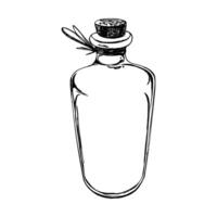 Glass bottle, elongated jar with cork and string around neck. Hand drawn graphic illustration in black and white color line art. Isolated object vector