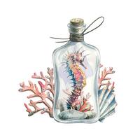 Watercolor illustration composition of a seahorse with a shell, pebbles and corals in a glass jar with a cork and a rope. Poster, print, decorative element. vector
