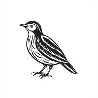 Black Bird Illustration With White Background vector