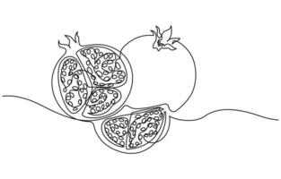 Pomegranate in Continuous single one line drawing vector