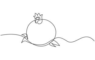 one Continuous linear drawing of pomegranate vector