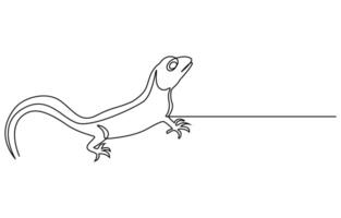 Lizard one line continuous vector