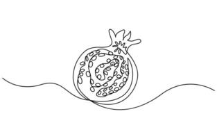 Pomegranate in one line style vector