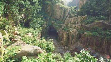 Spectacular view of lush greenery surrounding a cave entrance in India video