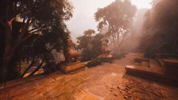 Ancient temple ruins in Myanmars jungle bathed in soft morning light video