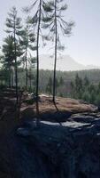 Mountains covered with woods in the early morning mist video