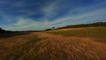 Flying over a field in Australia, on a sunny day. video