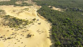 Pinnacles Desert desert in Australia with stones video