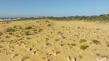 Pinnacles Desert desert in Australia with stones video