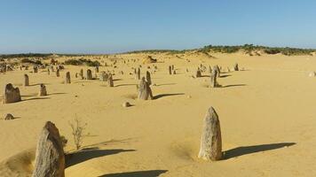 Pinnacles Desert desert in Australia with stones video