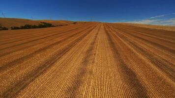 Flying on a drone over a field in Australia, wind turbines in the background. video