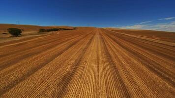 Flying on a drone over a field in Australia, wind turbines in the background. video