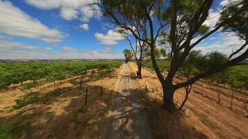 Empty road in a field in Australia from FPV drone video