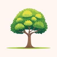 Tree with green leaves on a white background vector