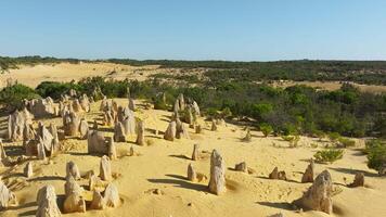 Pinnacles Desert desert in Australia with stones video