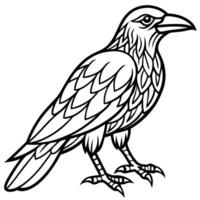 A black and white drawing of a raven vector