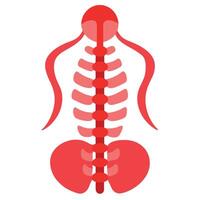 The spine is shown in red on a white background vector