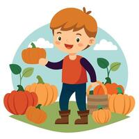 Boy picking pumpkins in the field vector