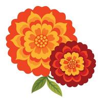 Two flowers with leaves on a white background vector
