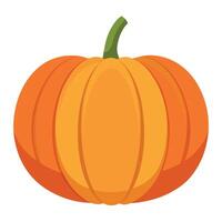 A pumpkin is shown on a white background vector